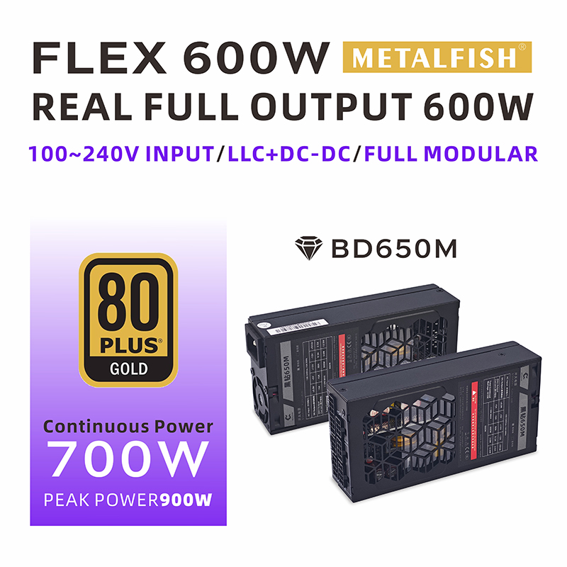 METALFISH Flex 600 W Modulares – Atx Power Supply 1U Flex 500W Bewertung und Preis